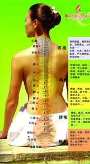 经络图海报图片