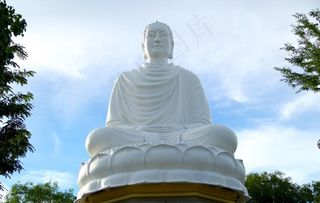 佛像 佛教 佛 宗教 菩萨 文图片