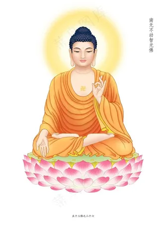 不动智光佛副本.jpg图片