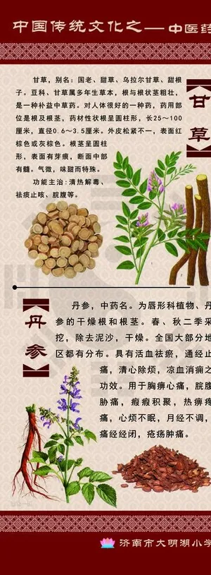 中药展板图片
