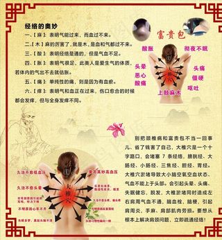 经络养生理疗宣传画面图片