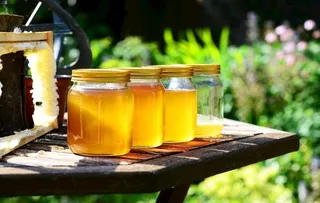 美味的蜂蜜图片