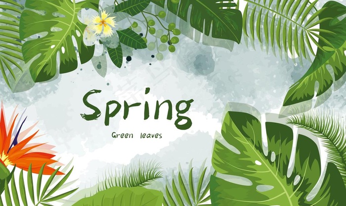 森系植物绿叶背景图片