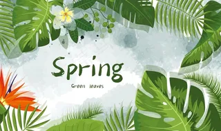 森系植物绿叶背景图片