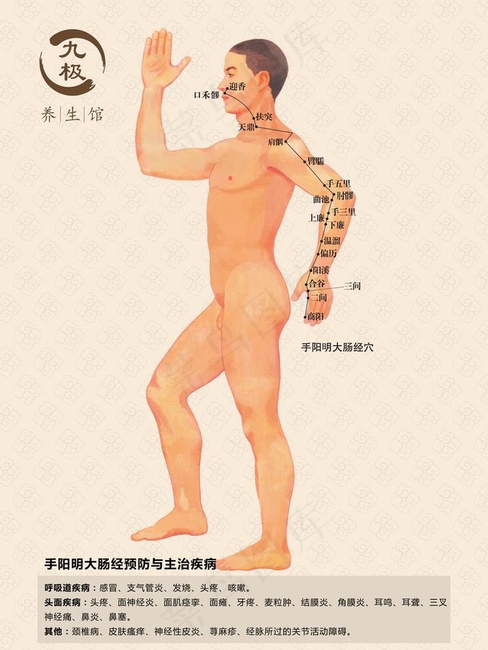 手阳明大肠经海报图片