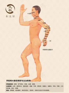 手阳明大肠经海报图片