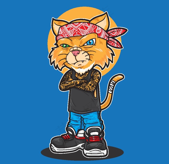 酷酷猫图片