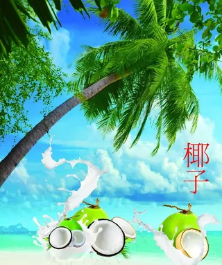 椰子图片