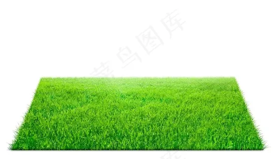 绿色草地图片 绿色草地图片