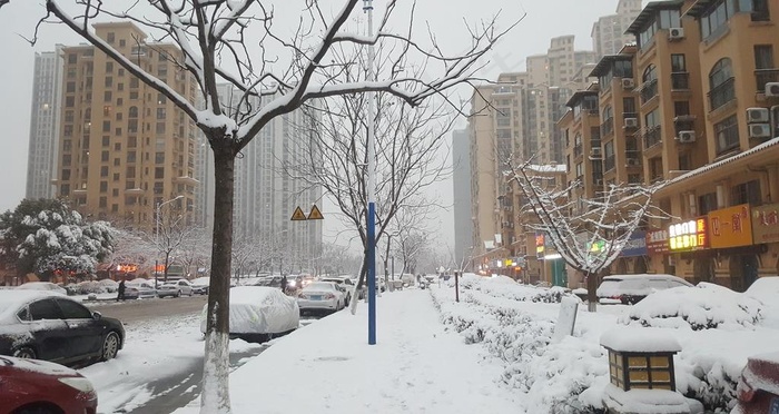 城市雪景图片