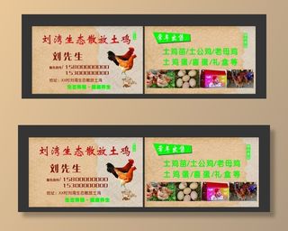 土鸡名片图片