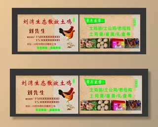 土鸡名片图片
