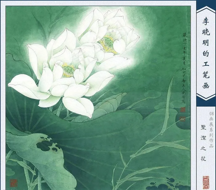 圣洁之花图片