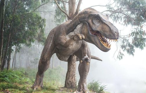恐龙图片