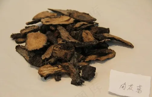 中药饮片肉苁蓉图片