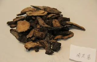 中药饮片肉苁蓉图片