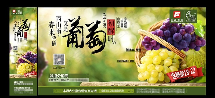 葡萄海报图片(10812X5691(DPI:240))psd模版下载
