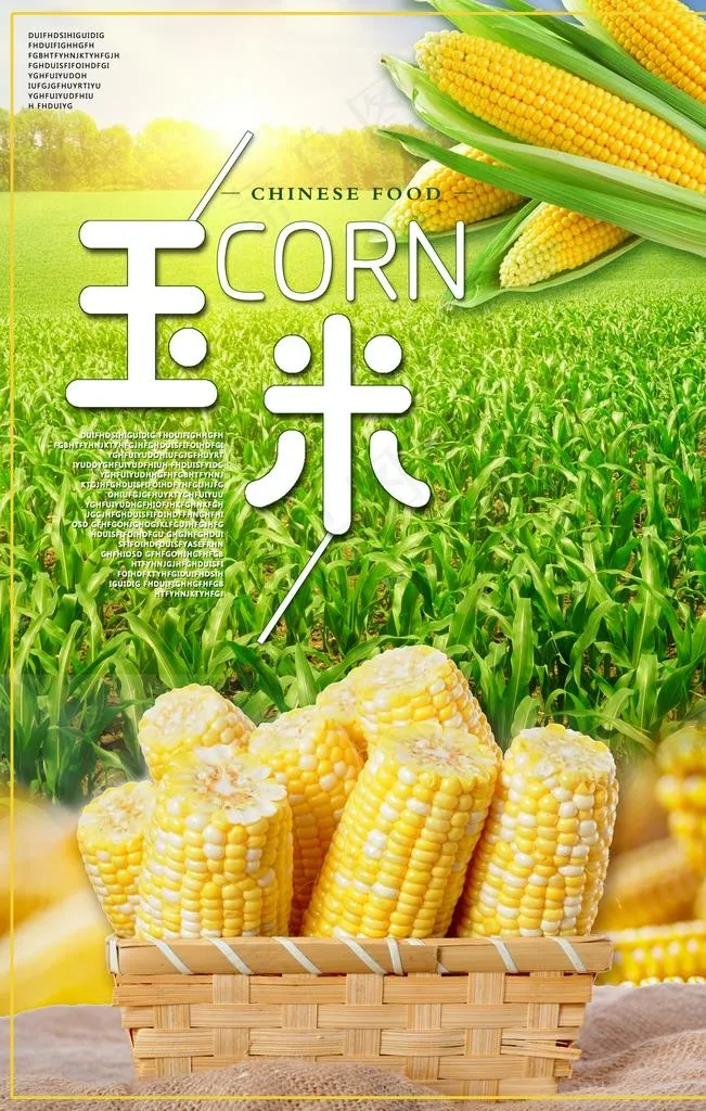 玉米图片(5905X8858(DPI:250))psd模版下载