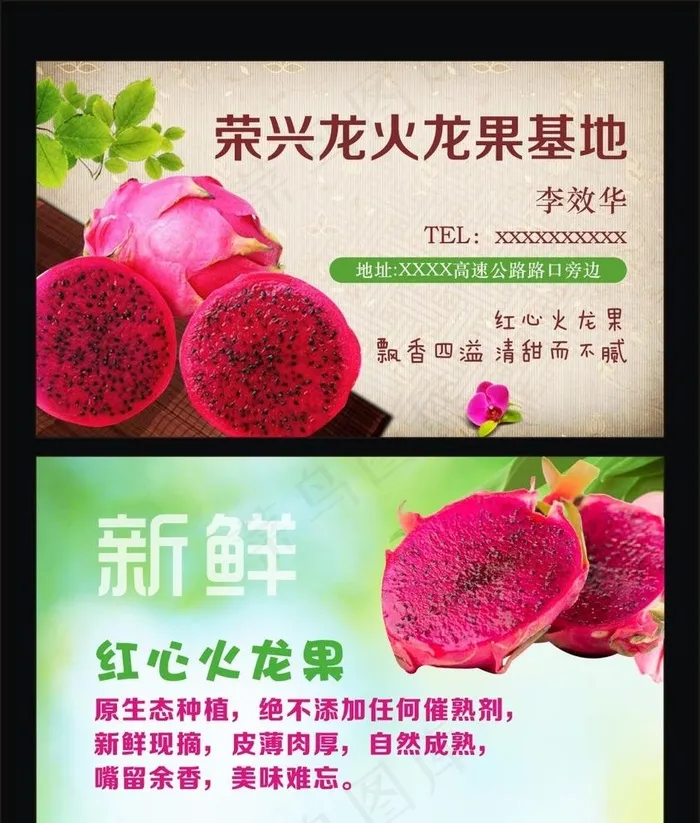 火龙果名片图片cdr矢量模版下载