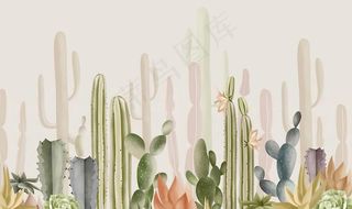 手绘仙人掌图片
