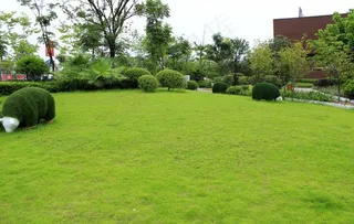 草地动物造型图片