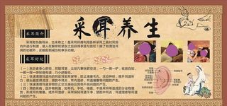 采耳养生 采耳简介图片