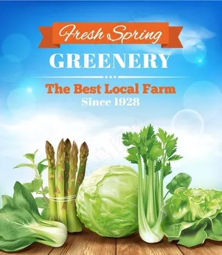 精美绿色蔬菜矢量素材图片