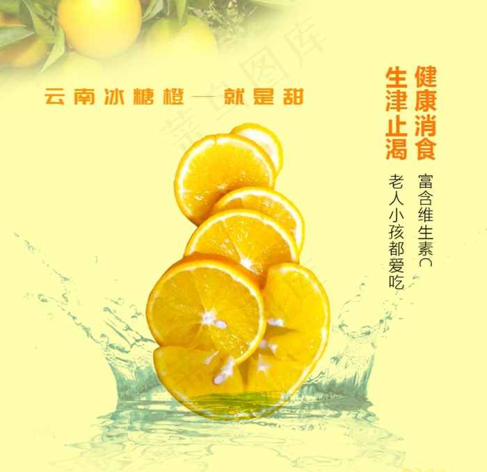 冰糖橙图片