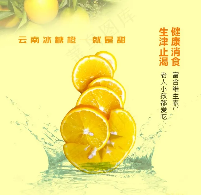 冰糖橙图片