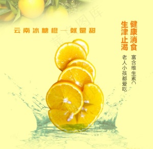 冰糖橙图片