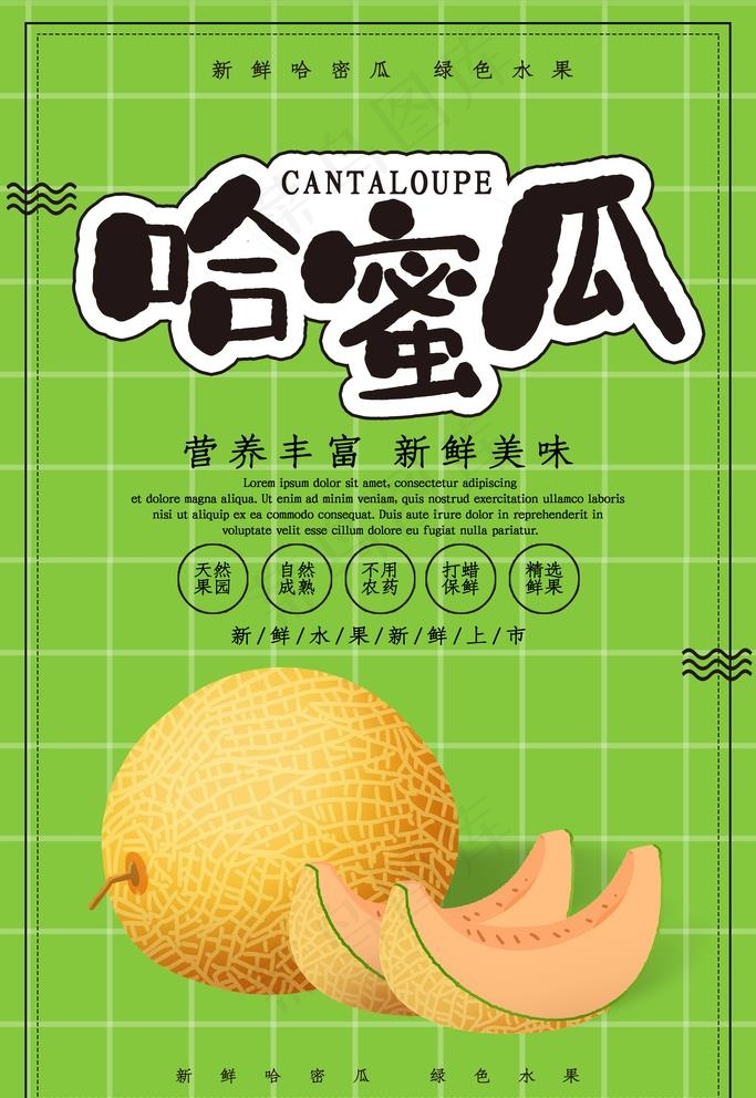 哈密瓜图片