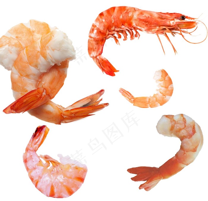 虾图片psd模版下载