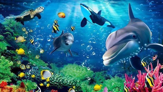 海洋世界 海豚 背景墙图片