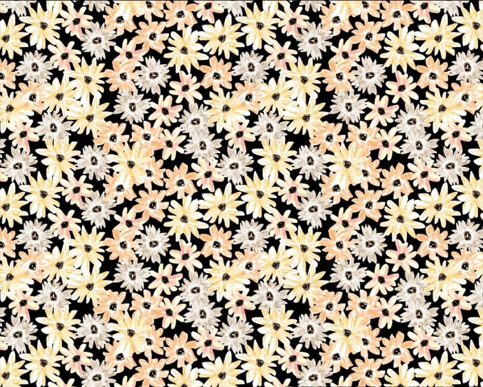 黑底清新渐变小雏菊图片