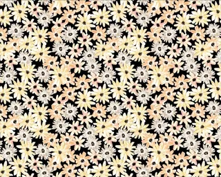 黑底清新渐变小雏菊图片