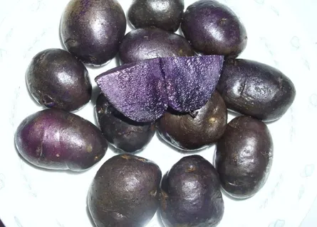 黑土豆图片 黑土豆图片