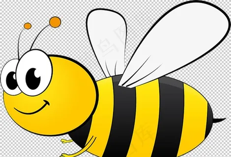 蜜蜂图片