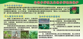 生物多样性及生物多样性的保护图片