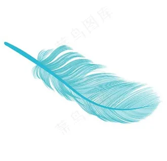 羽毛图片