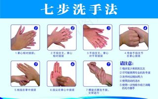 七步洗手法图片