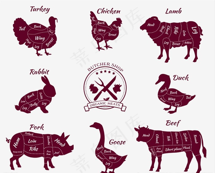 家禽解剖分割结构图 矢量 牛肉图片cdr矢量模版下载