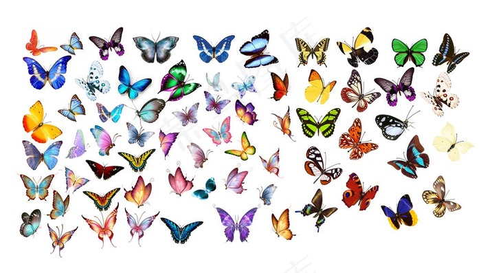 蝴蝶高清素材psd图片