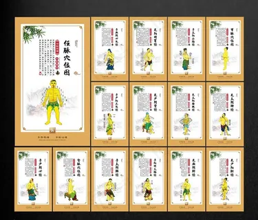经络图图片