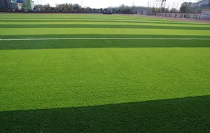 人造草坪图片
