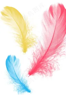 羽毛psd素材下载图片