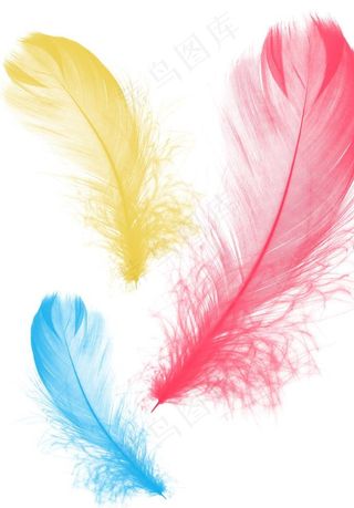 羽毛psd素材下载图片