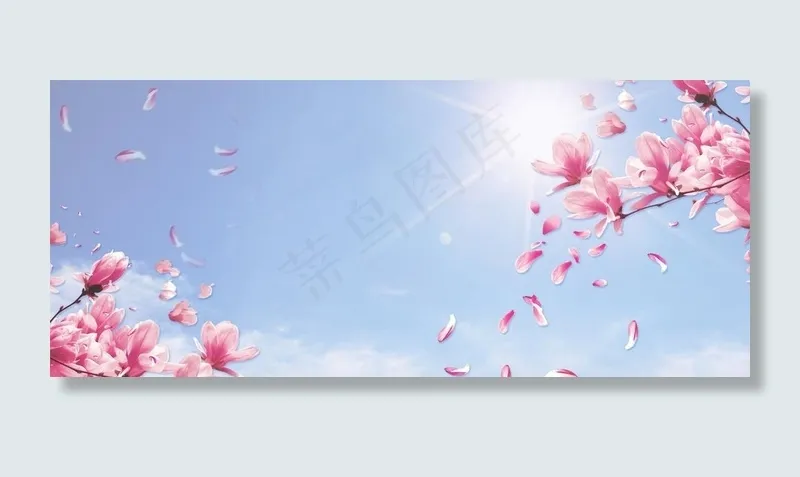 桃花海报背景图片