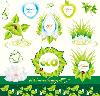 水珠 水滴 莲花 涟漪 绿叶图片 水珠 水滴 莲花 涟漪 绿叶图片