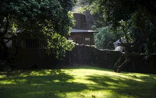 阳光草地院落图片