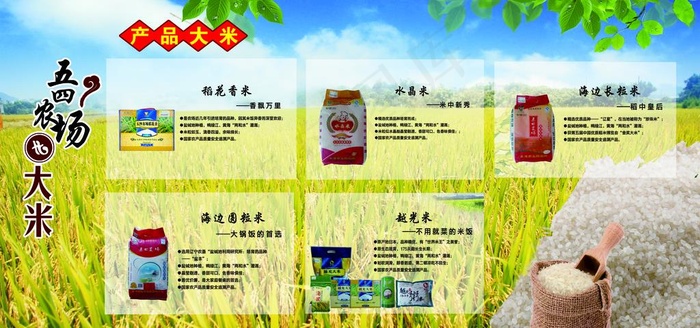 大米海报图片(7559X3780(DPI:80))psd模版下载